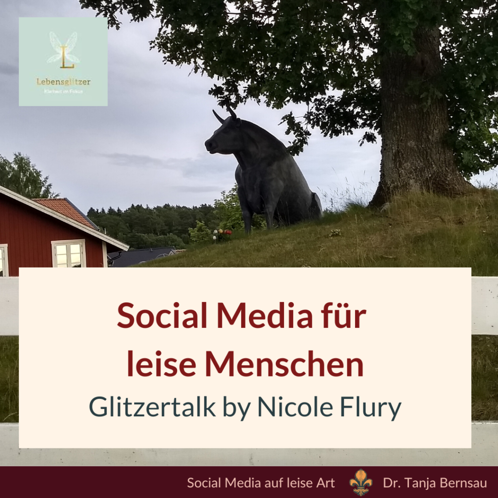 Glitzertalk by Nicole Flury "Social Media für leise Menschen"
