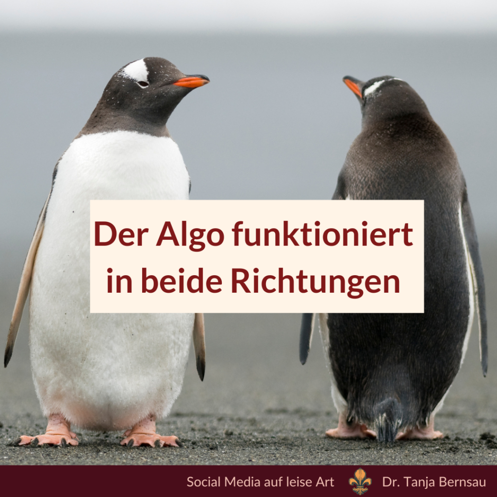 Den LinkedIn-Algorithmus für sich nutzen