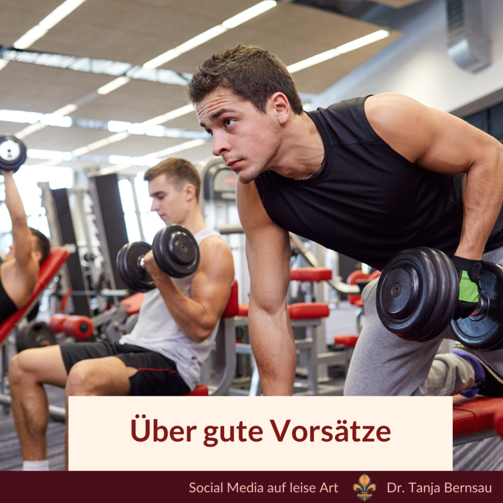 Über gute Vorsätze