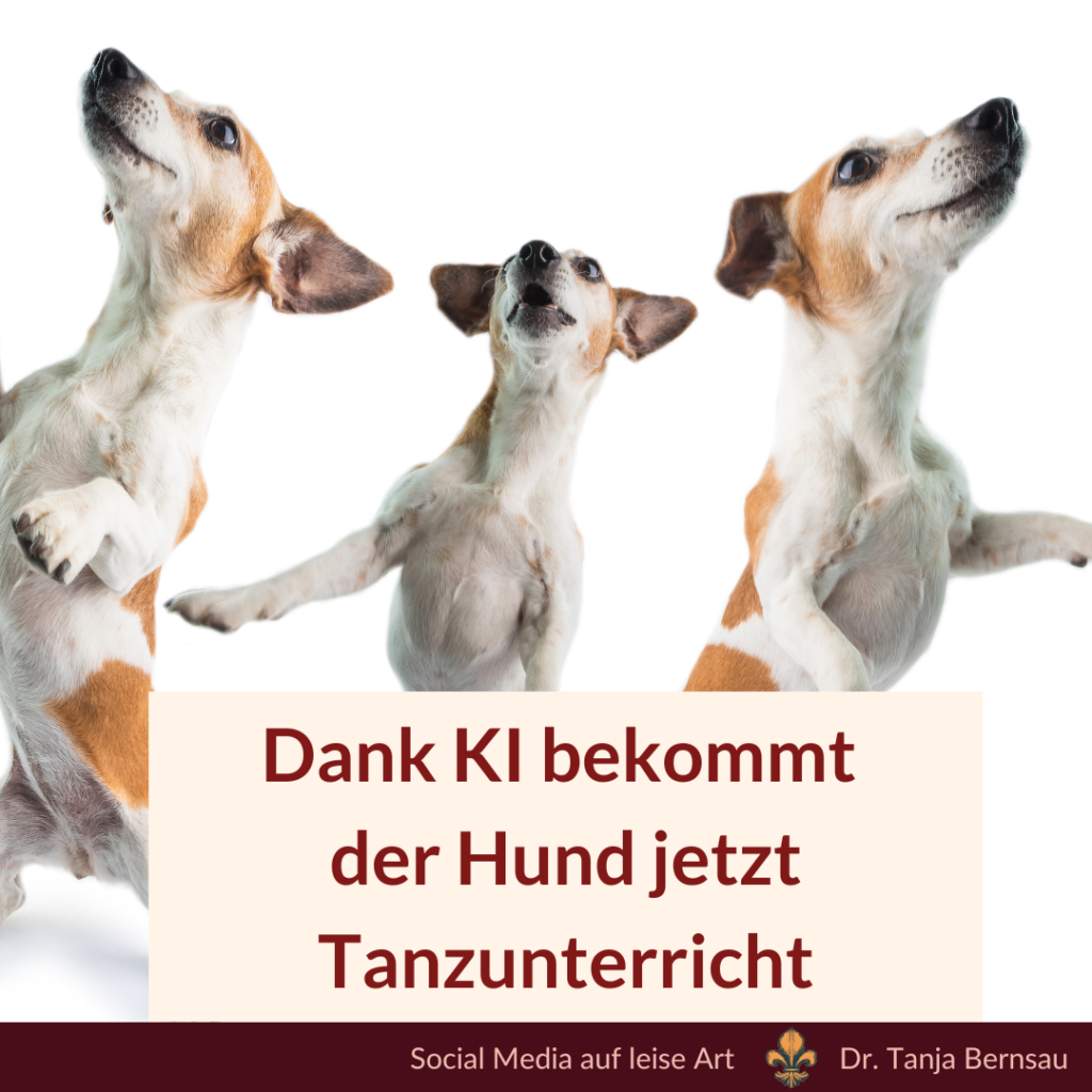 Dank ChatGPT bekommt der Hund jetzt Tanzunterricht