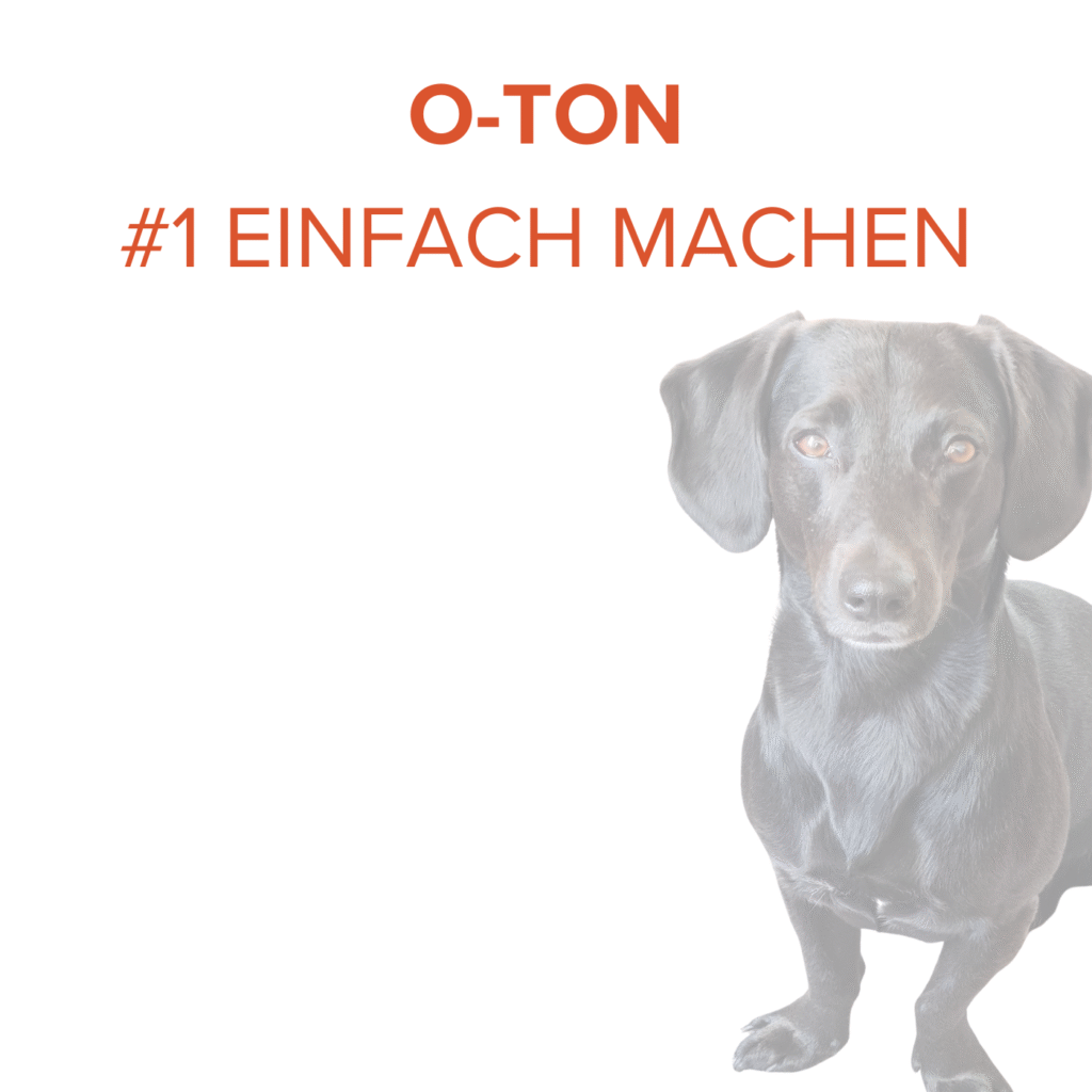 O-Ton#1 einfach machen