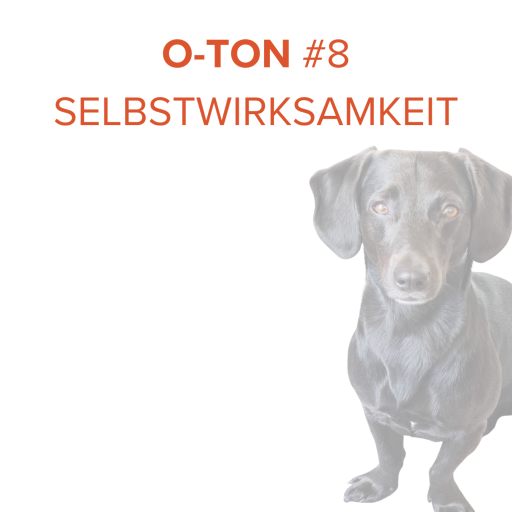 O-Ton #8 Selbstwirksamkeit