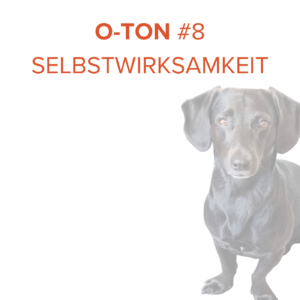 O-Ton #8 Selbstwirksamkeit
